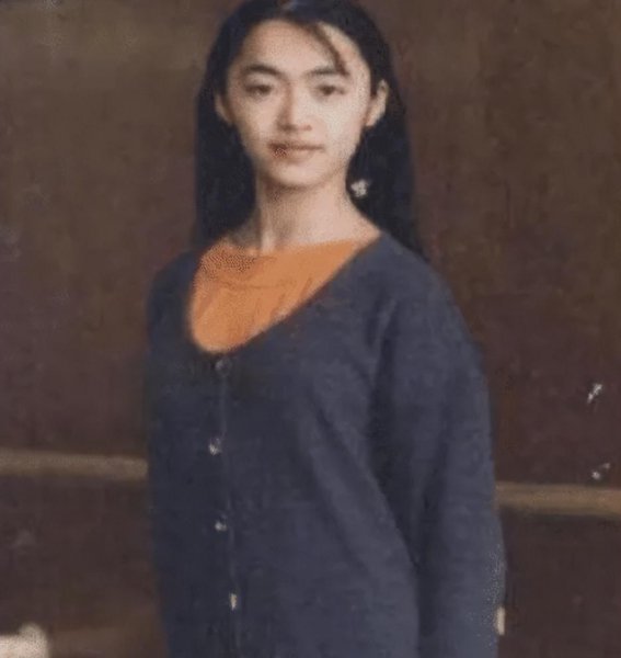 凌潇肃和姚晨怎么回事