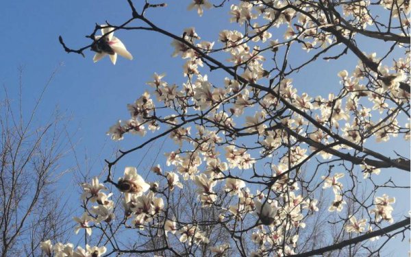 面试不过的征兆有哪些