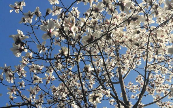 面试不过的征兆有哪些