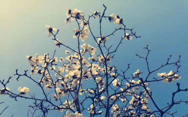 面试不过的征兆有哪些