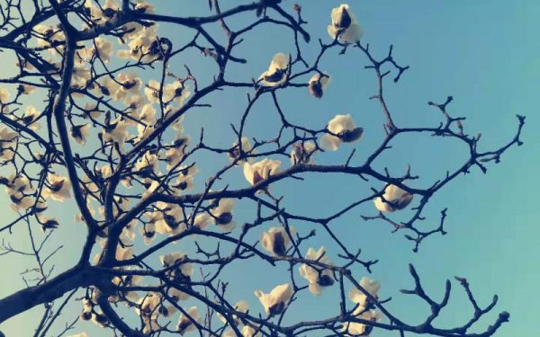 面试不过的征兆有哪些