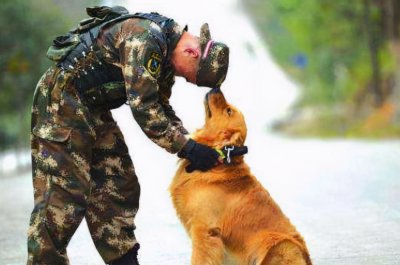 狗为什么对人类忠诚度原理 狗狗是人类最好的朋友