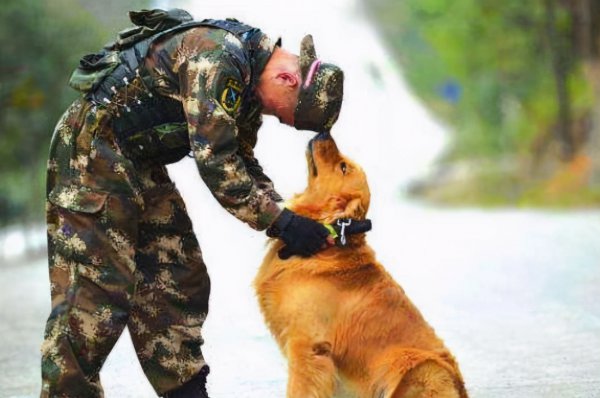 狗为什么对人类忠诚度原理