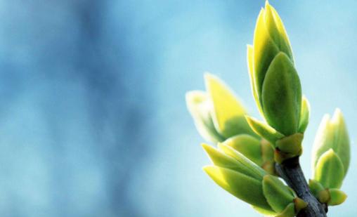 立春是什么节气农历几月几号