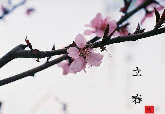 立春是什么节气农历几月几号