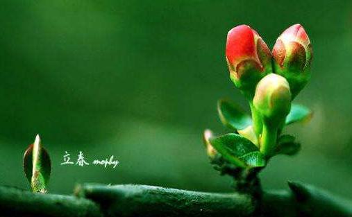 立春是什么节气农历几月几号