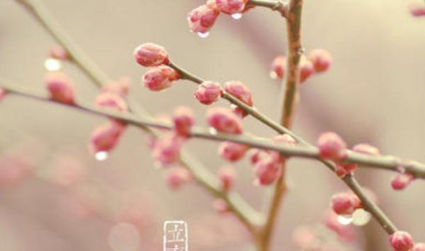立春是什么节气农历几月几号