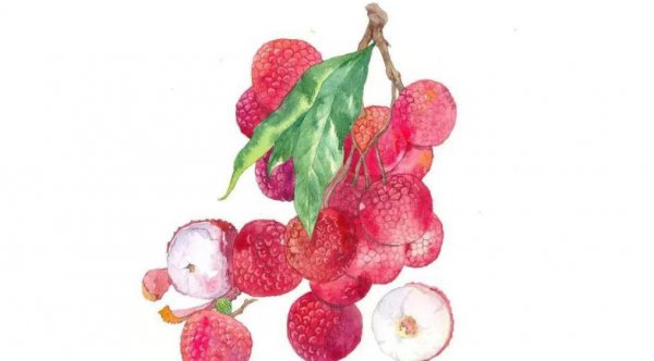 杨贵妃的老公是谁