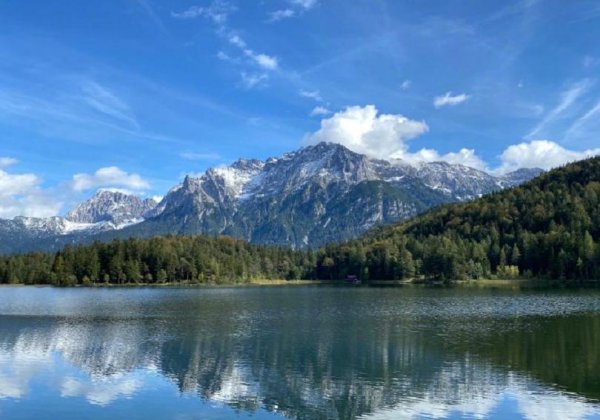 莫文蔚有孩子吗