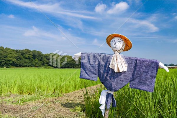 加拉斯加是哪个国家的首都