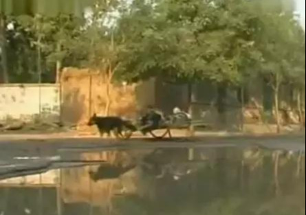 忠爱无言真实故事原型是哪里的