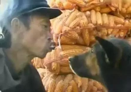 忠爱无言真实故事原型是哪里的