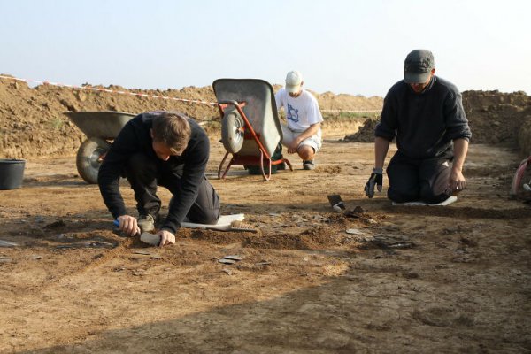 十大最累最辛苦职业