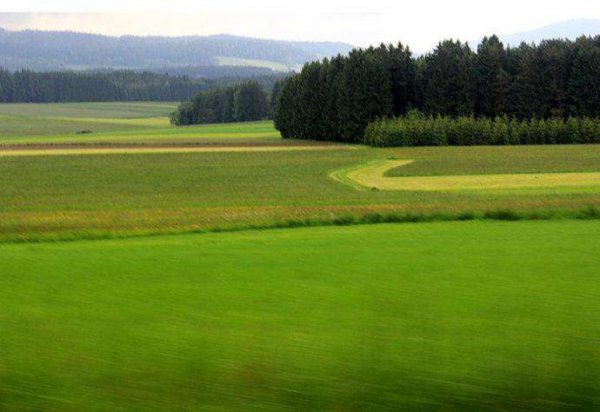 莫斯科位于什么平原