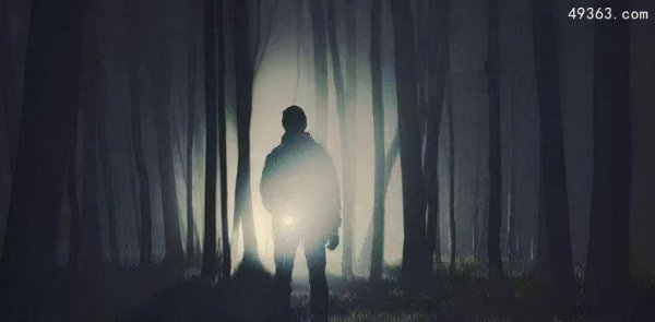 黑暗森林法则是什么意思