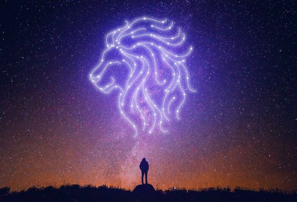 迟早要跟摩羯座在一起的星座