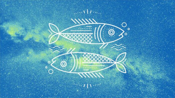 迟早要跟摩羯座在一起的星座