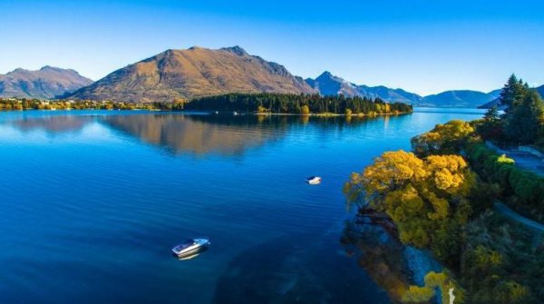 新西兰属于什么洲的国家