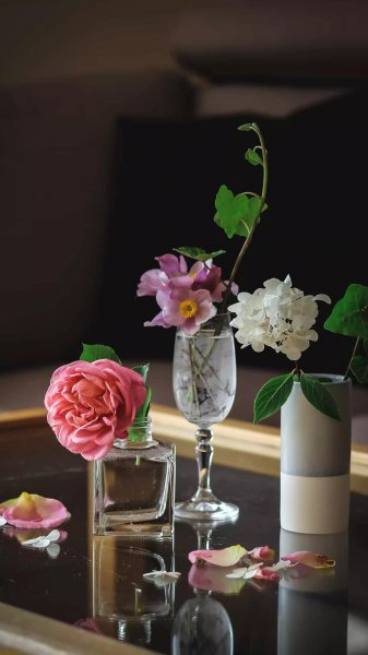 谁发明了地动仪和浑天仪