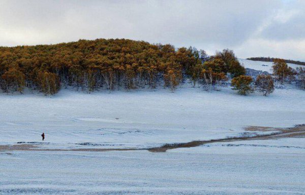 江雪的作者是谁