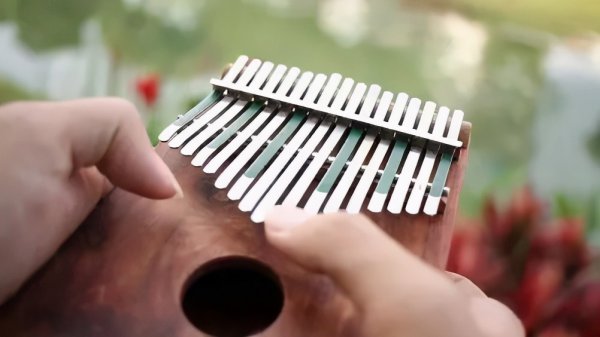 最容易学的乐器是哪个