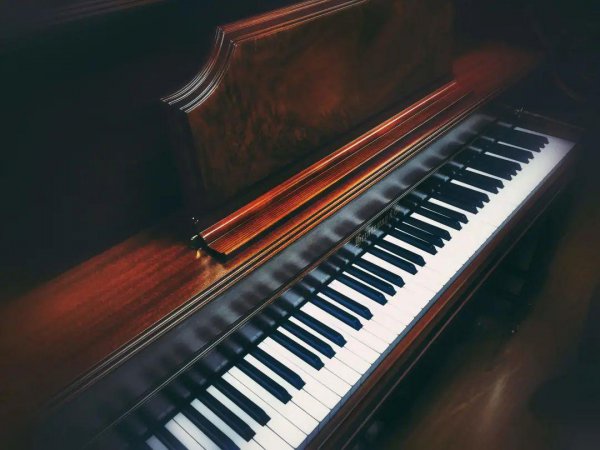 最容易学的乐器是哪个