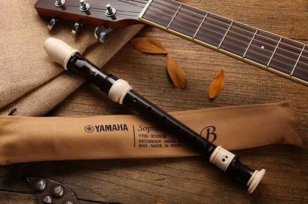 最容易学的乐器是哪个