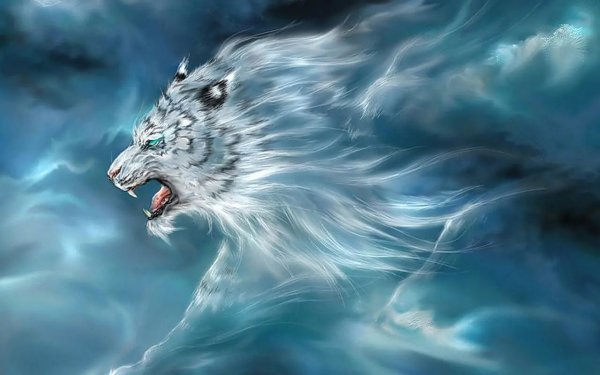 中国四大神兽的方位