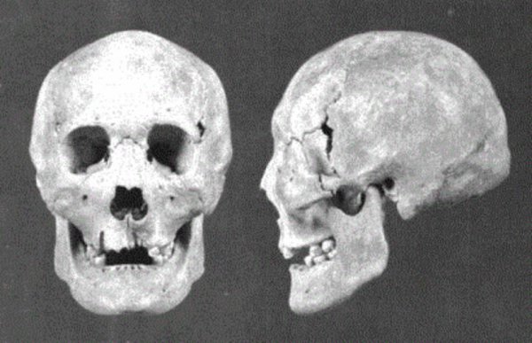 鲜卑人长相复原图