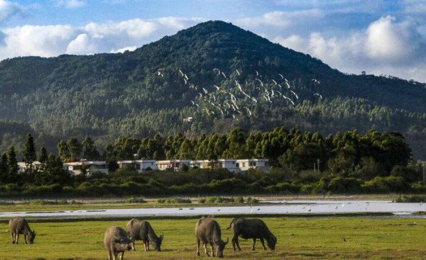海南养老居住最佳地段