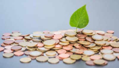 目前干什么最容易挣钱 现在有什么好的生意赚钱又快又多