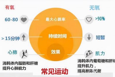 长跑是有氧运动还是无氧运动 有氧和无氧运动的区别