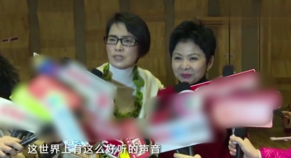 董文华为什么身败名裂