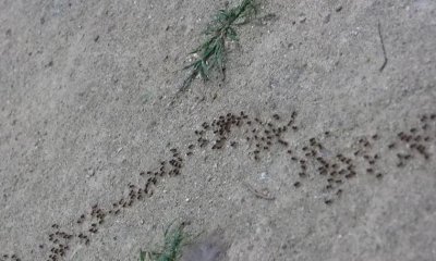 下雨前有哪些预兆 有哪些征兆出现代表天气要下雨