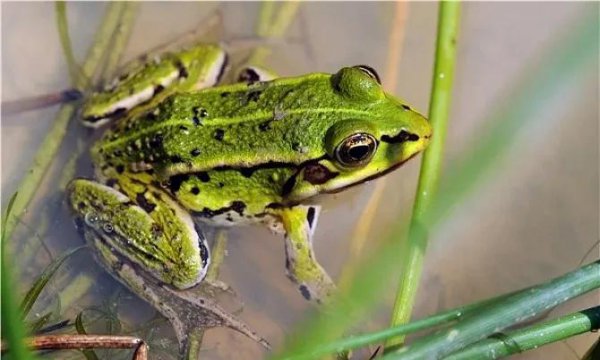 下雨前有哪些预兆
