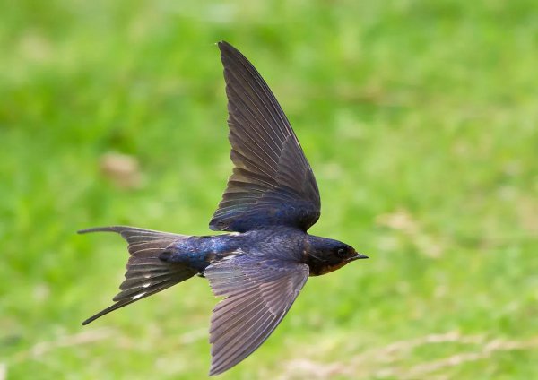 下雨前有哪些预兆