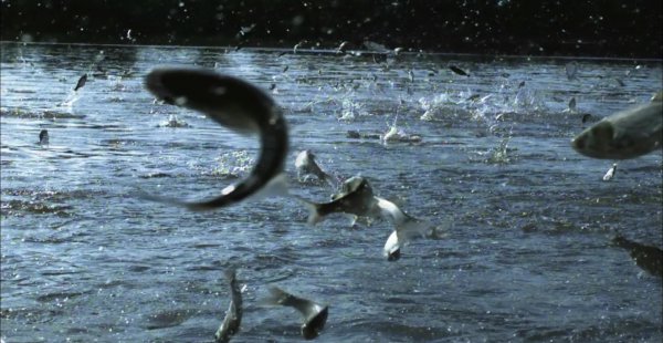 下雨前有哪些预兆