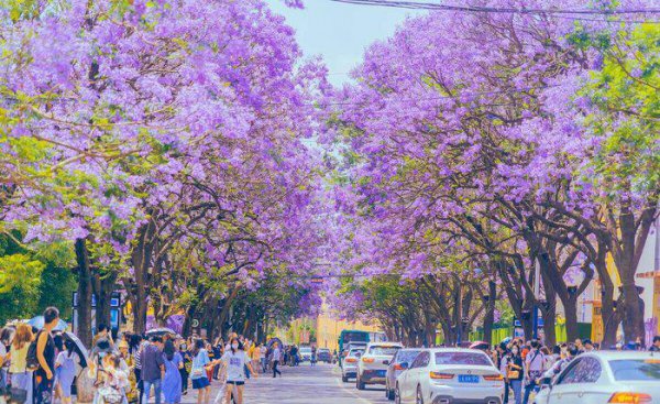 昆明夏天最热多少度