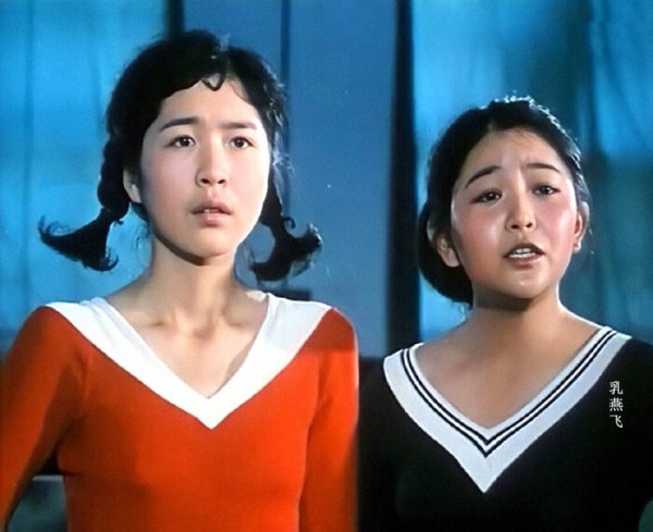 田歌个人资料出生年月