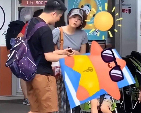 董卿最近出什么事了