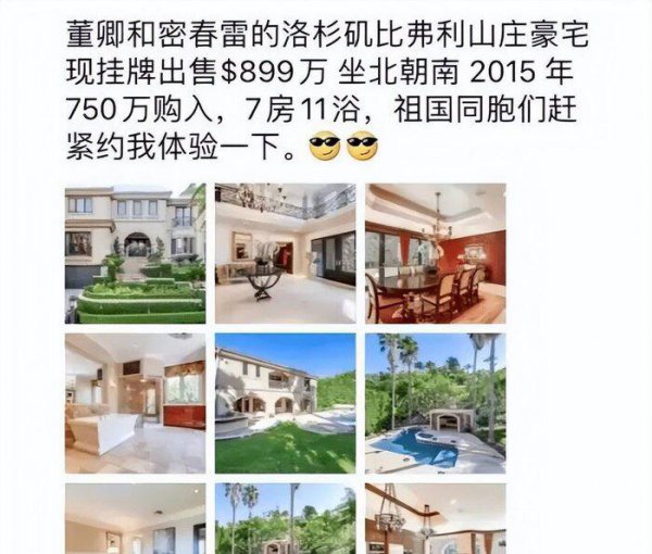 董卿最近出什么事了