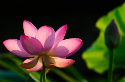 开悟最明显的一个特征 真正开悟的人会有什么样子表现