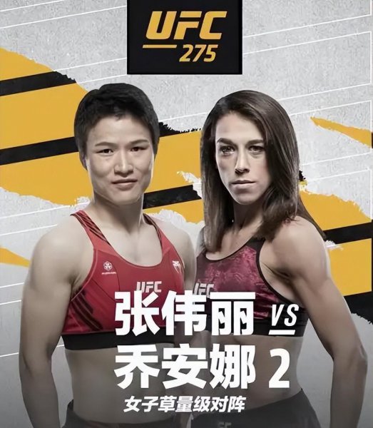 河北拳手张伟丽个人资料