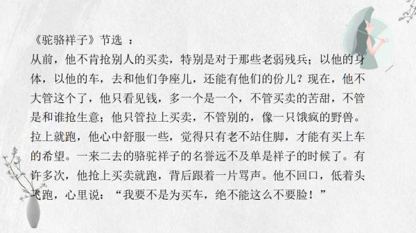 骆驼祥子有多少章节多少字