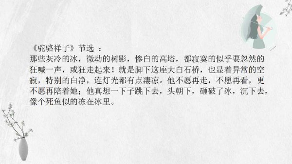 骆驼祥子有多少章节多少字