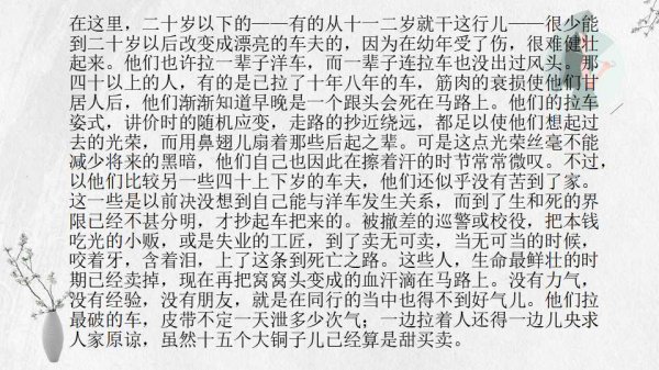 骆驼祥子有多少章节多少字