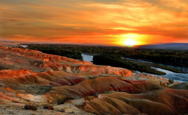 我国种植葡萄始于哪个朝代和时间
