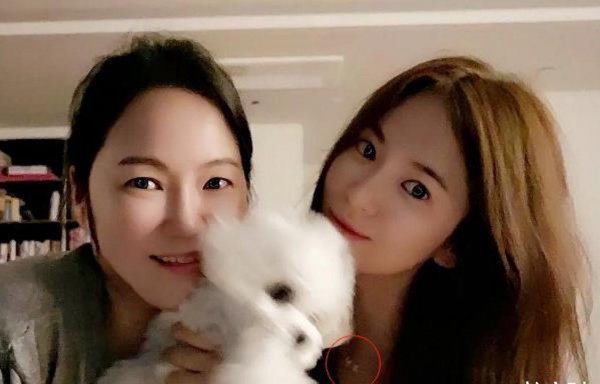 玄彬宋慧乔为什么分手