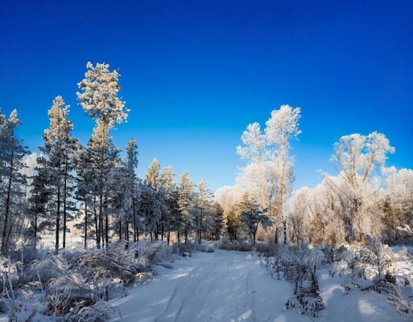 俄罗斯地理位置和自然环境特征