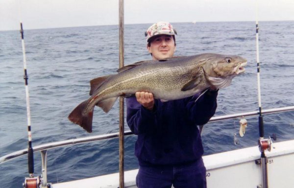 纽芬兰渔场形成的原因